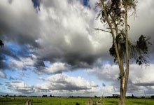 开云体育-俄罗斯将对阵斯洛伐克，胜负难料的简单介绍