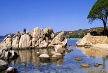 开云体育-俄罗斯将对阵斯洛伐克，胜负难料的简单介绍