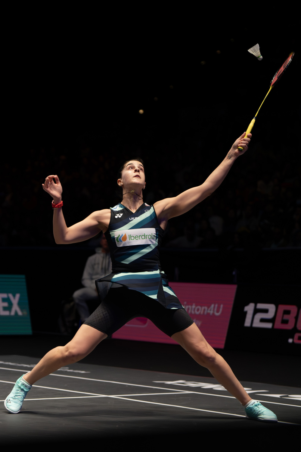 关于韩国羽毛球队绝杀印尼羽毛球队，马琳惊艳世界的信息