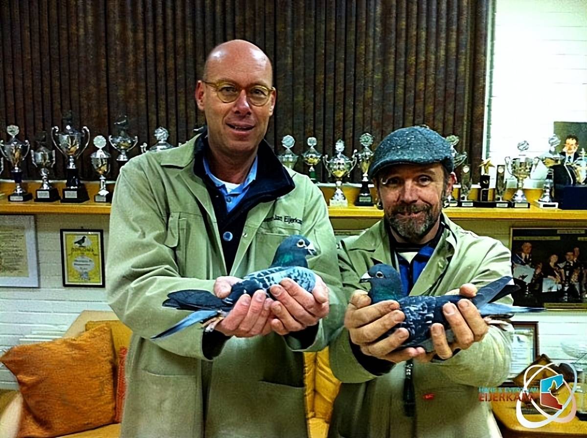 非洲队伍在重要比赛中获得胜利