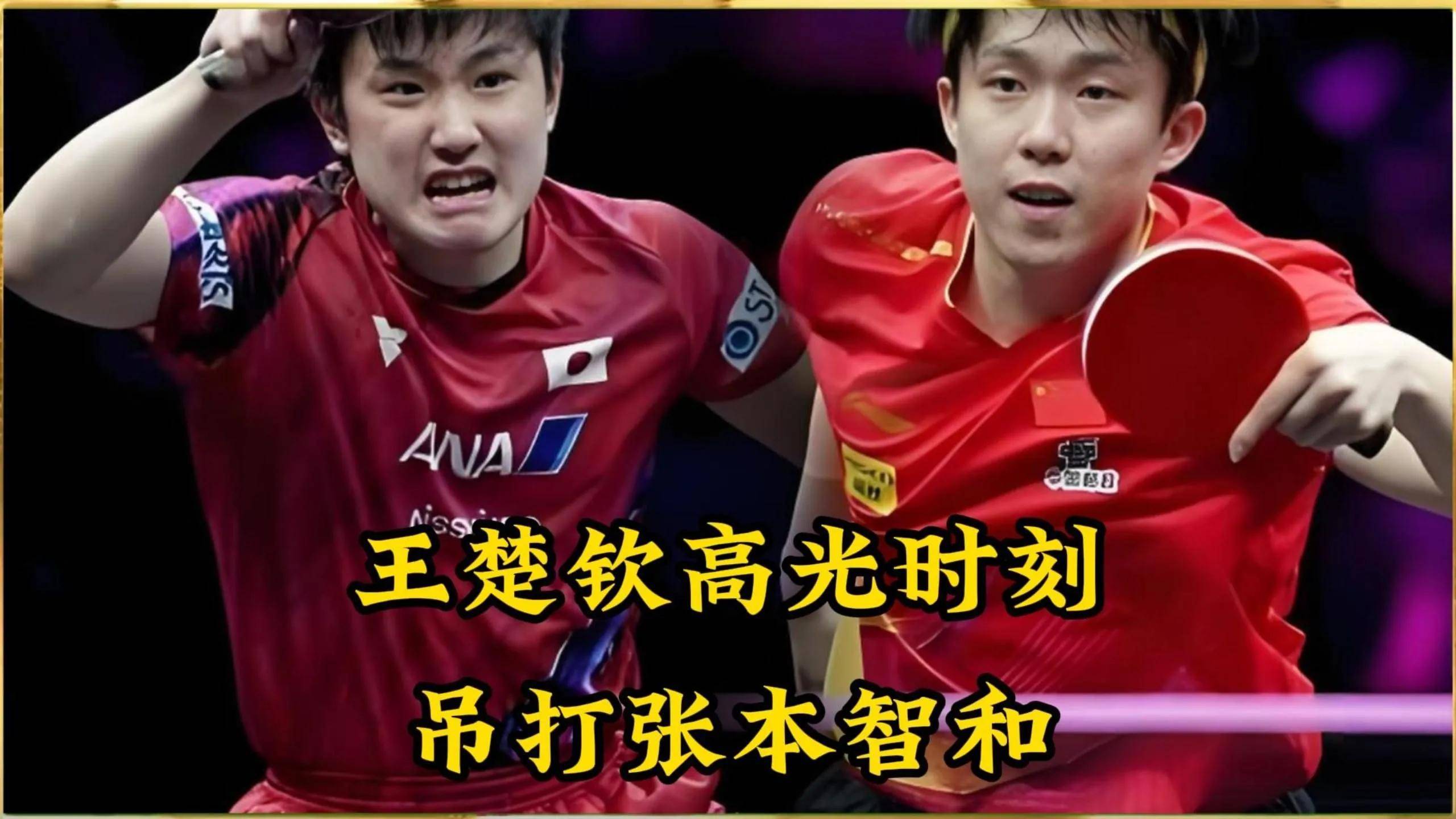 波兰队力克中国队，张本智和惊艳四座的简单介绍