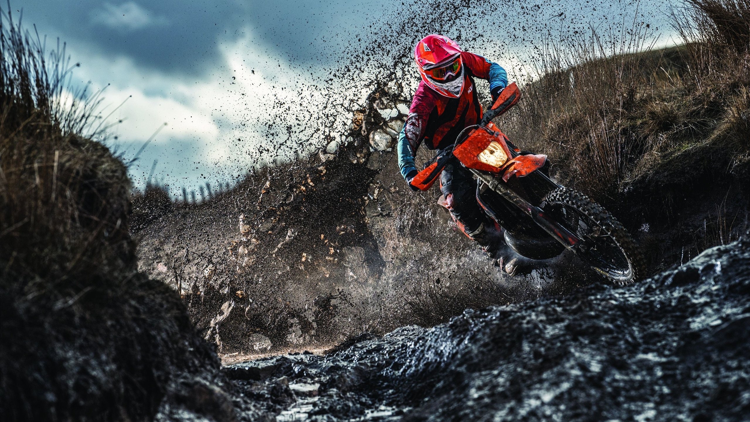 芝加哥的奇才之夜，武切维奇如何以压制级表现客串击溃爵士