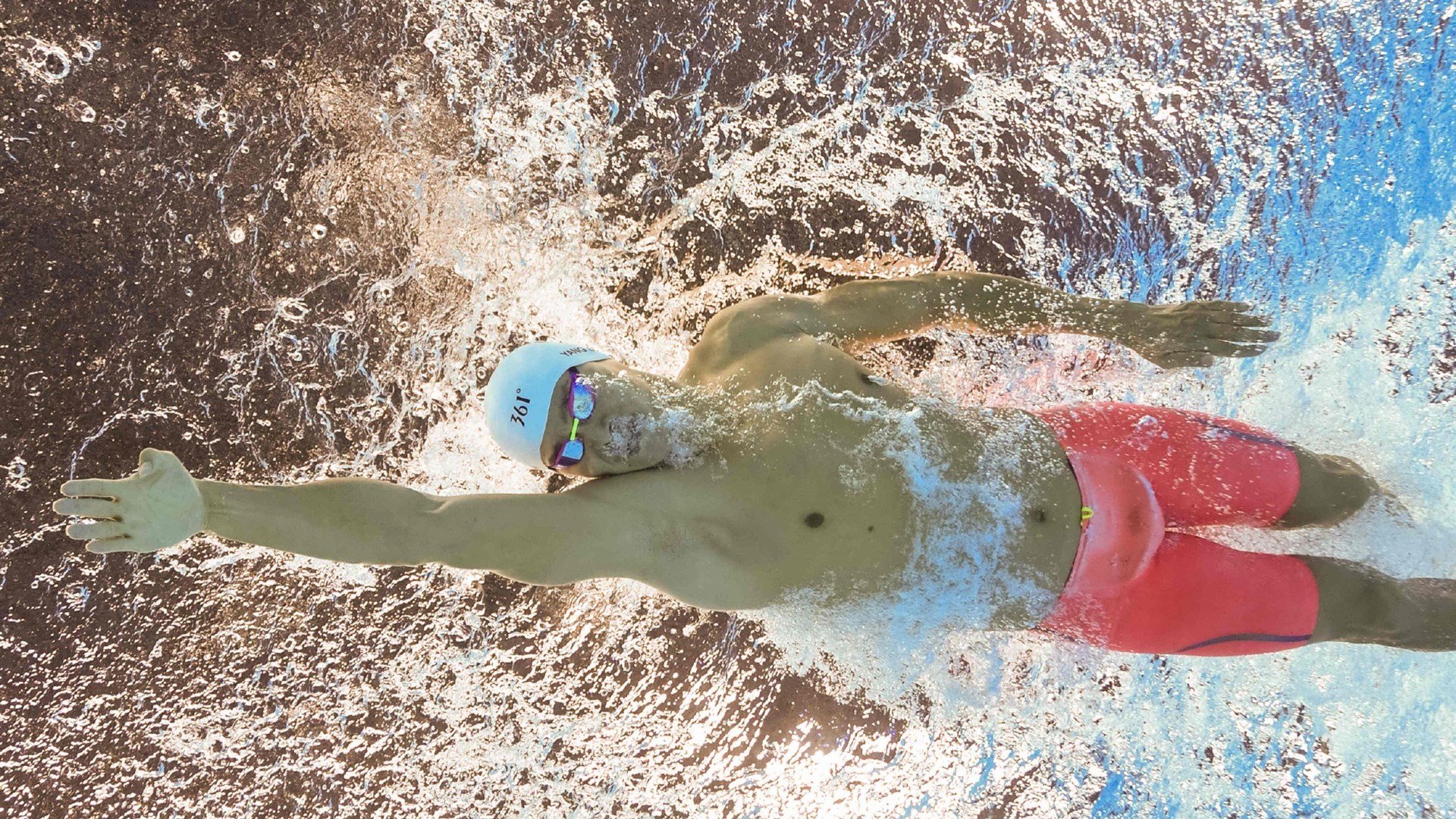 绿茵场与乒乓台,葡萄牙鏖战瑞典,樊振东状态火热书写传奇